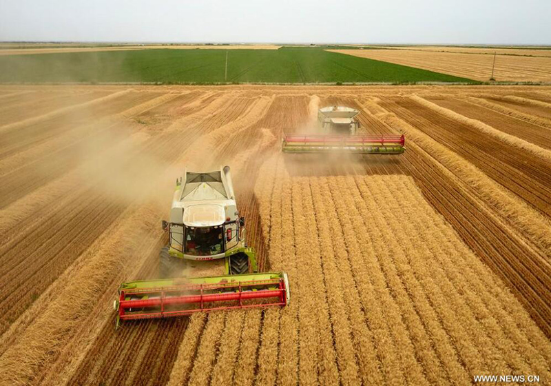 ???????? ?????? ?? ?????? ???????????? ??????? ???????? ??????? ?? ????? ????? ????