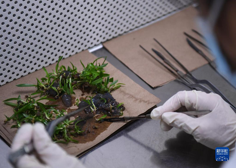 ?????? ????? ???????? ??????? ?????? ????? ?? ????? ????????