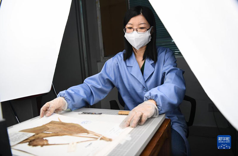 ?????? ????? ???????? ??????? ?????? ????? ?? ????? ????????