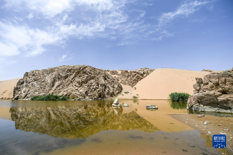 ???? ???? ???? ?????? ??????? ?? ????? ????? 