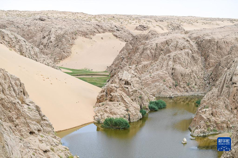 ???? ???? ???? ?????? ??????? ?? ????? ????? 