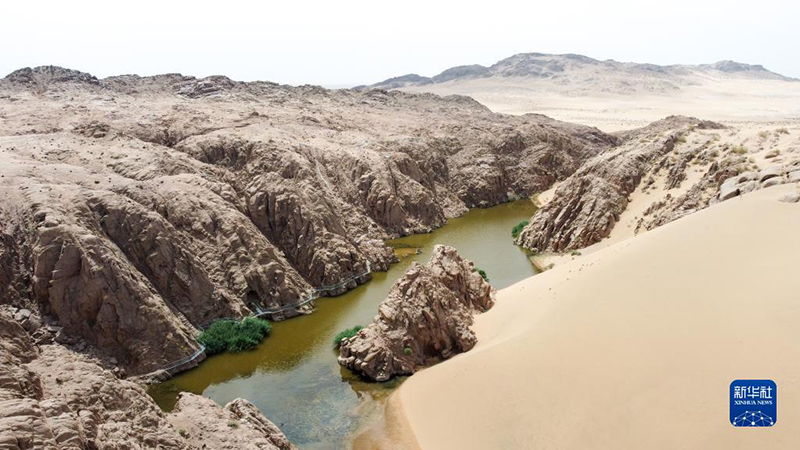 ???? ???? ???? ?????? ??????? ?? ????? ????? 