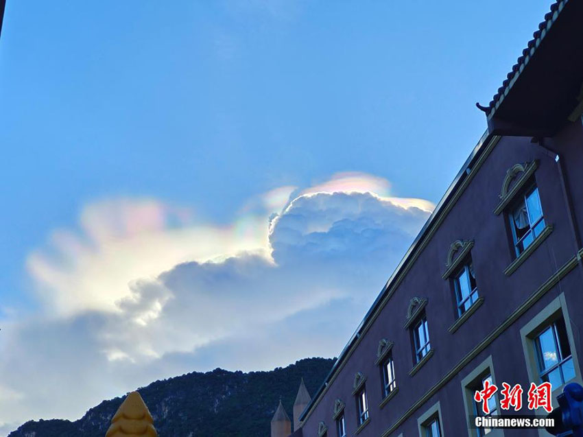 ???? ???? ?? ???? ??????