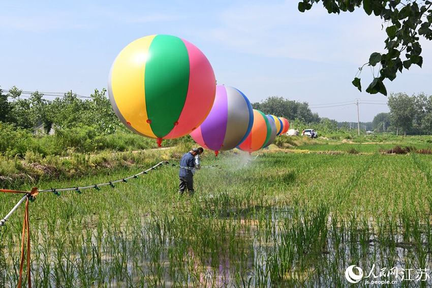 ?????? ? ???????: ??????? ????????? ?? ?? ????????