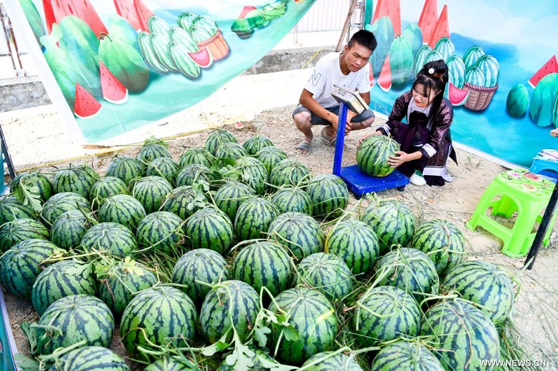 ????? ?????? ???? ???????? ?????? ?? ???? ???? ?????