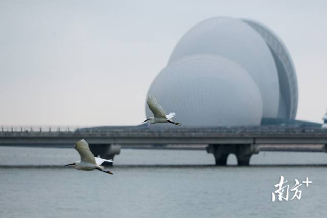 ?????? ?? ???? ?? ?????? ???? ????? ??? ?????