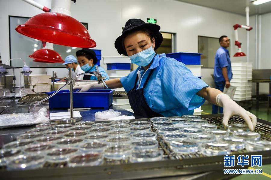 ???????? ???? ????? ?????? ??????? ?? ?????