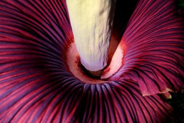 ??????? ???????? ??????? ????? ????? ????? ????? ???????