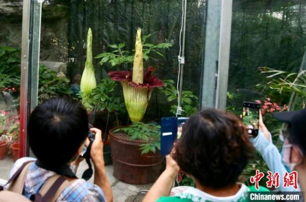 ??????? ???????? ??????? ????? ????? ????? ????? ???????