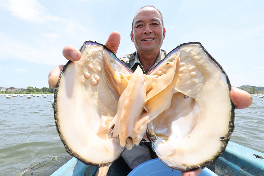 ???????? ???????: ????? ?????? ???? 