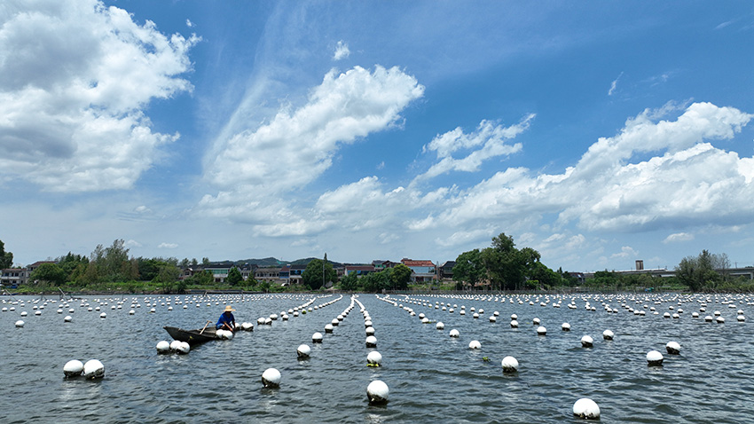 ???????? ???????: ????? ?????? ???? 