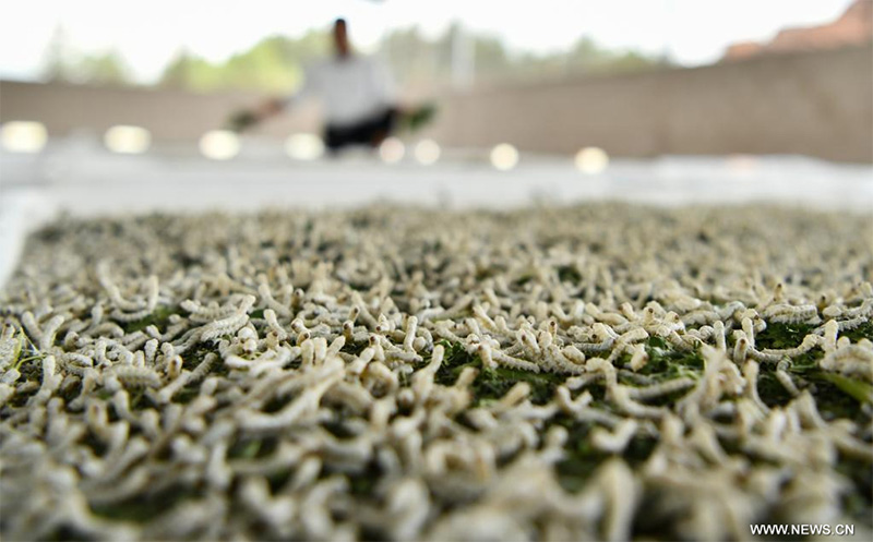 ????? ?????? ????? ??? ????? ???? ???????? ?? ?????? ????? ???? ?????