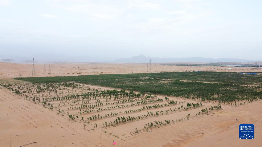 ??????? ??????? ?????? ?????????