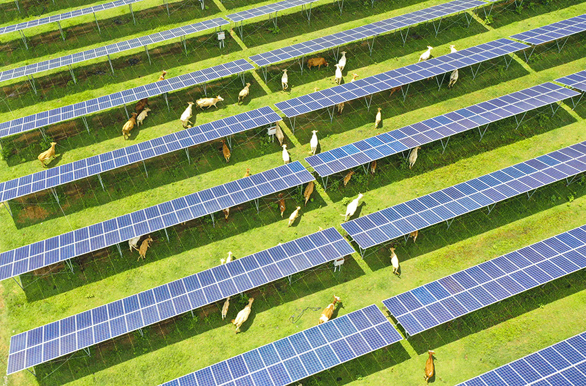 ?????? ????? ????? ???? ??? ????? ?????? ?????? ???????