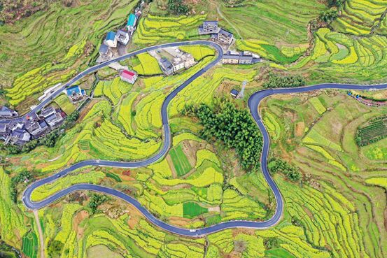 ?????: ??????? ?????? ????? ?? ????? ?????? ?????????? ?????? ?????