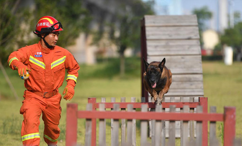 ?????: ??????? ????? ????? ???????? ?? ???? ?????