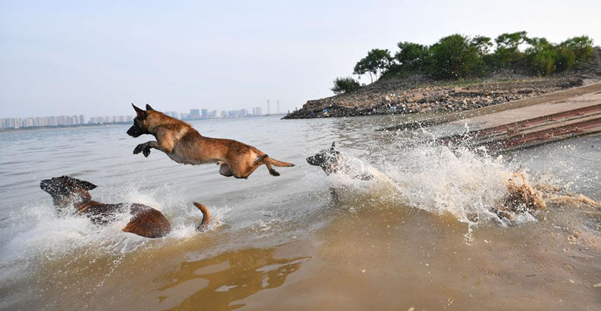 ?????: ??????? ????? ????? ???????? ?? ???? ?????