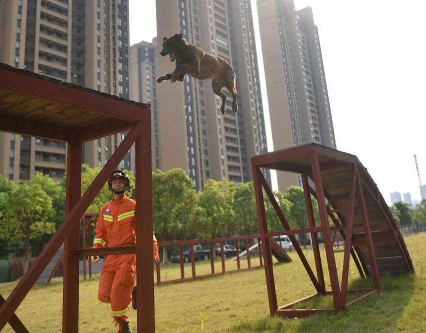 ?????: ??????? ????? ????? ???????? ?? ???? ?????