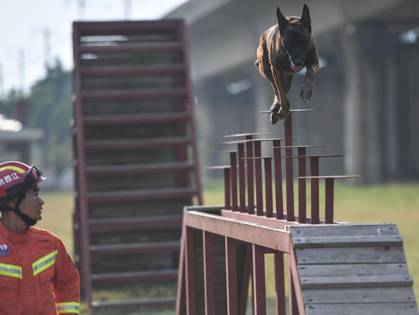 ?????: ??????? ????? ????? ???????? ?? ???? ?????