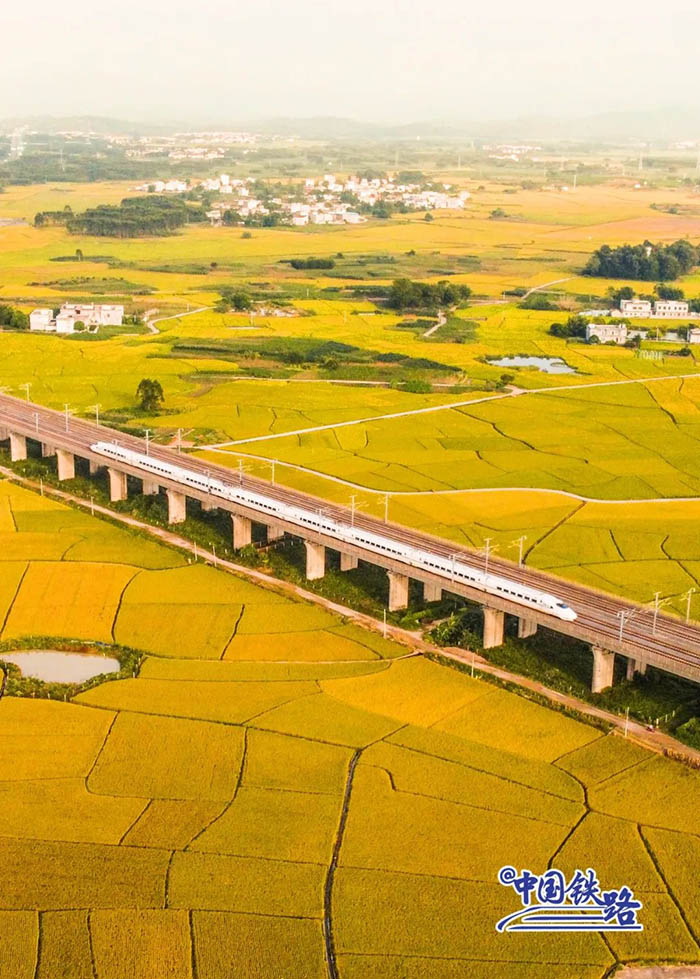 ????? ??????? ??????? ?? ????? ??????