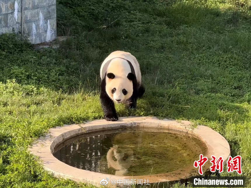 ?????? ??????? ????? ???????? ?????