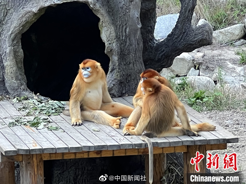 ?????? ??????? ????? ???????? ?????