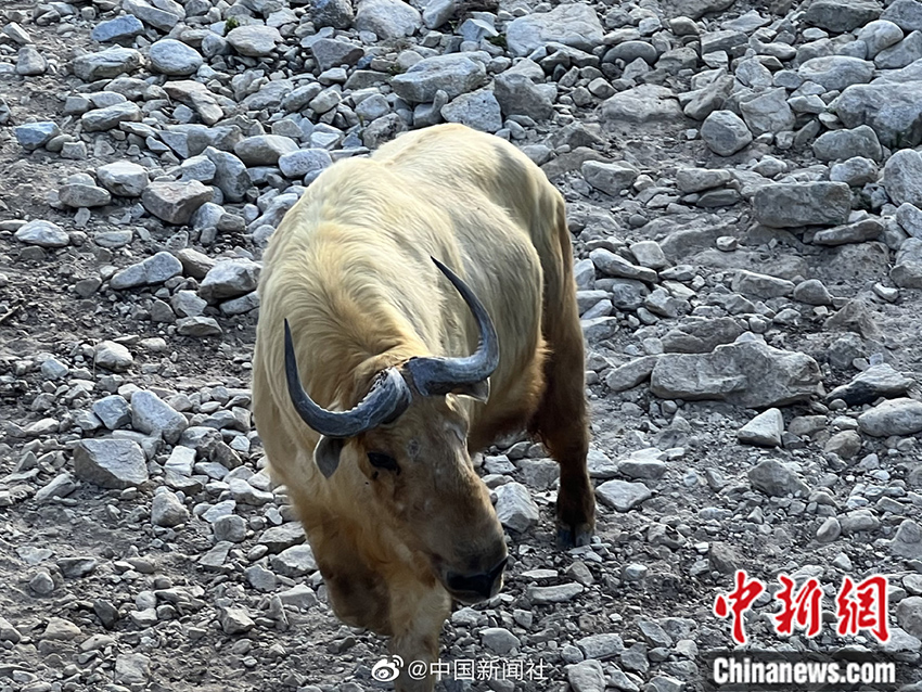 ?????? ??????? ????? ???????? ?????