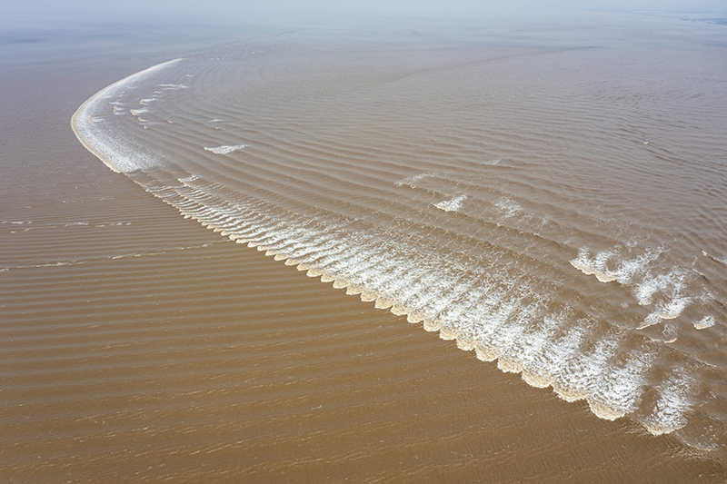 ???? ?? ????? ?? ??? ????? ????? ????????