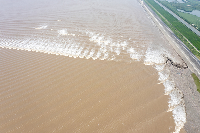 ???? ?? ????? ?? ??? ????? ????? ????????