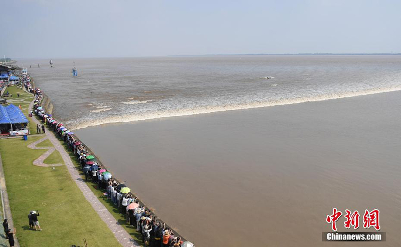 ???? ?? ????? ?? ??? ????? ????? ????????