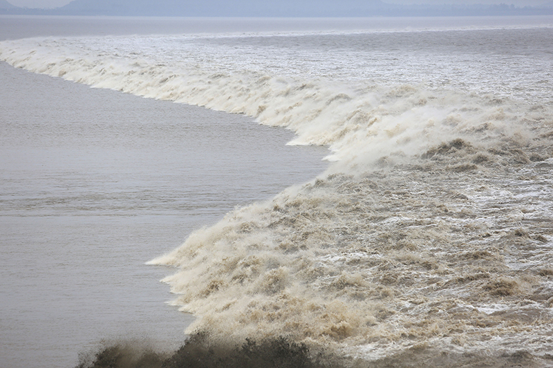 ???? ?? ????? ?? ??? ????? ????? ????????