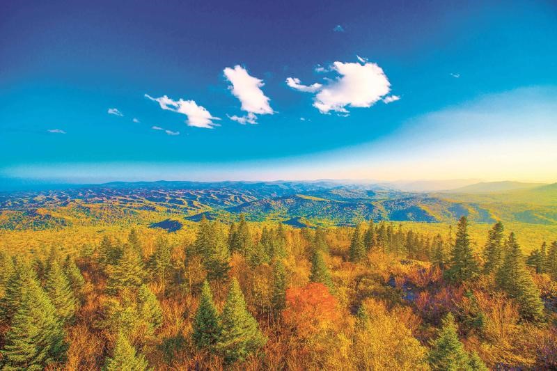 ???? ???? ??????? ??????? ??????? ??? ????? ????? ?????? ??????? ????????? ?????? ????