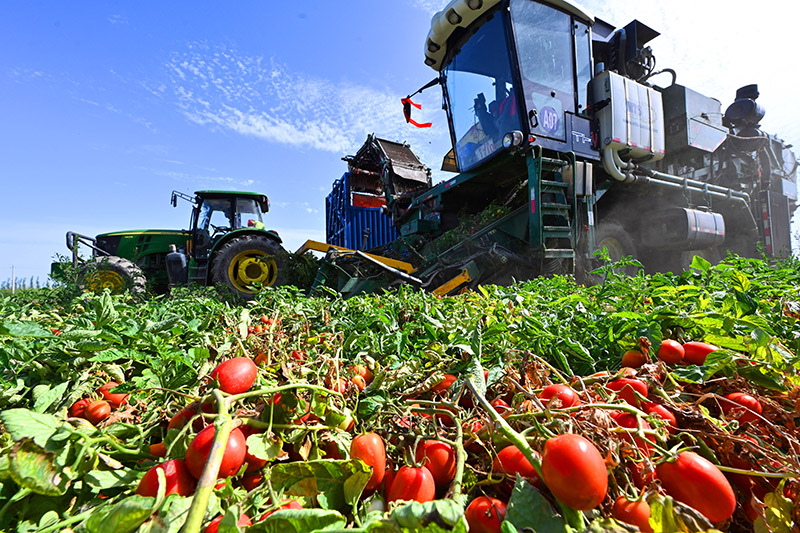 ?????? ?????? ????????? ?????? ???? ???? ???????