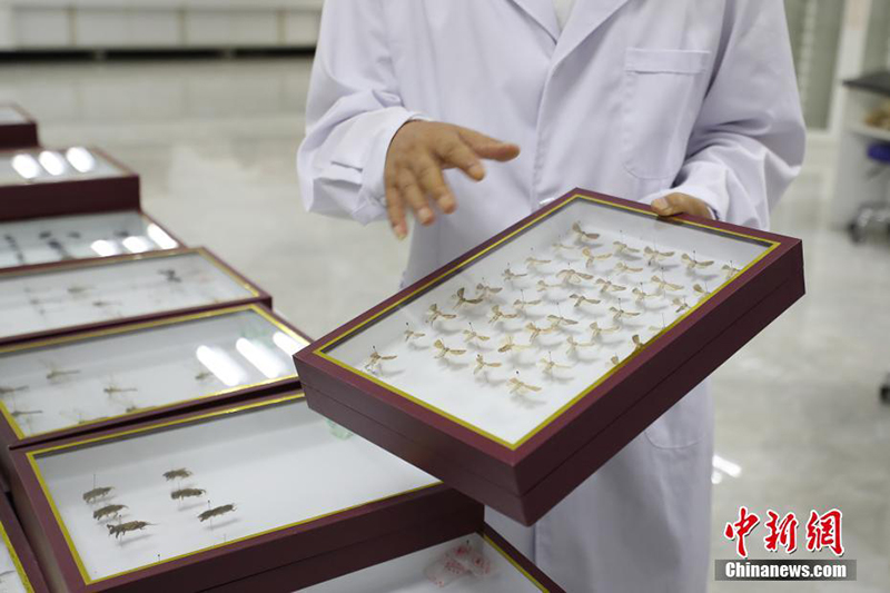 ????? ?? ???? ????? ?????? ???? ??????