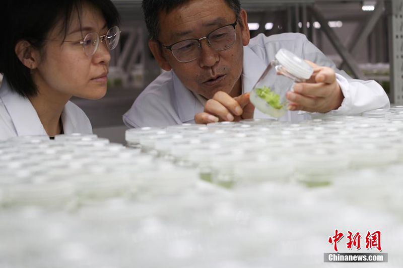 ????? ?? ???? ????? ?????? ???? ??????