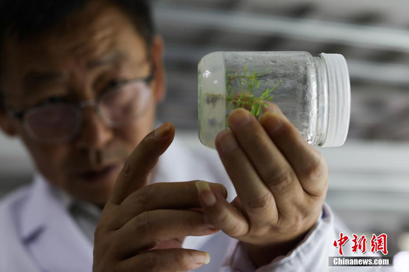 ????? ?? ???? ????? ?????? ???? ??????