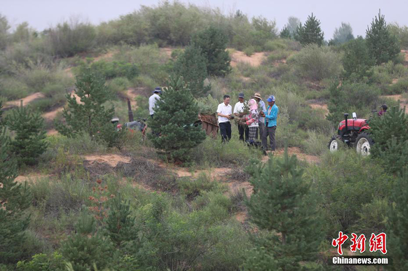 ????? ?? ???? ????? ?????? ???? ??????