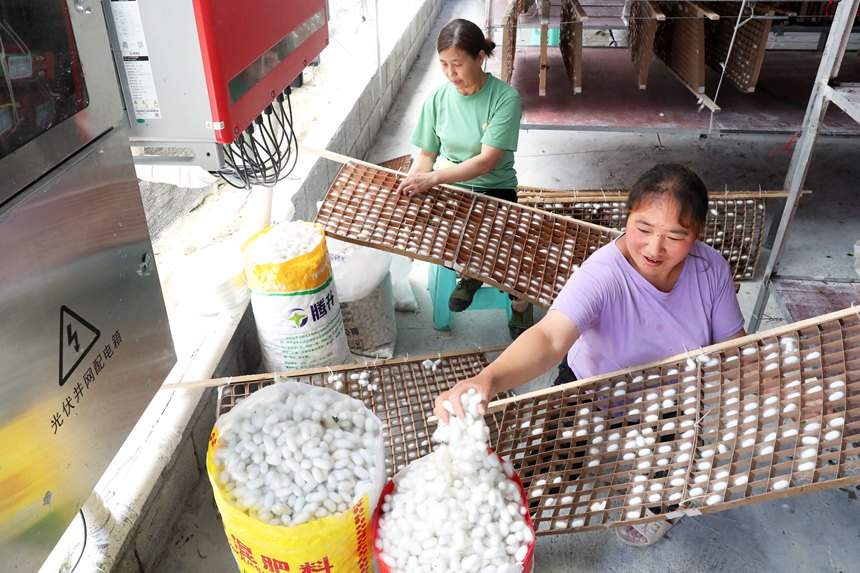 ??????????? ??????????: ????? ???? ???? ??? ????? ?????????? ????? ??? ????? ?????