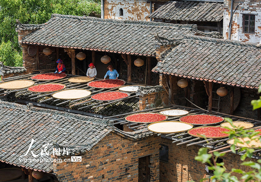 ??? ???? ????? ???????? ?? ???? ????? ????