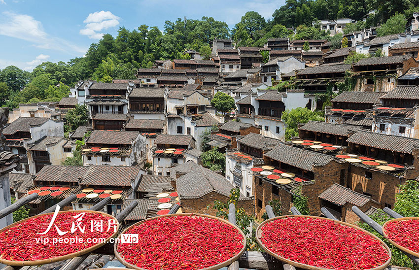 ??? ???? ????? ???????? ?? ???? ????? ????