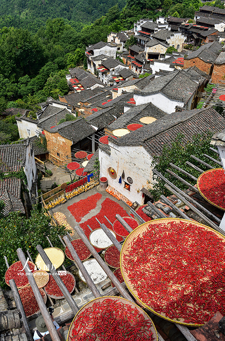 ??? ???? ????? ???????? ?? ???? ????? ????