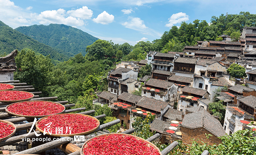 ??? ???? ????? ???????? ?? ???? ????? ????