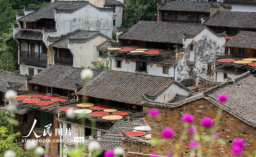 ??? ???? ????? ???????? ?? ???? ????? ????