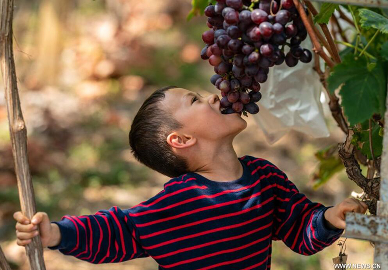 ???? ???? ????? ?? ???? ???? ?????