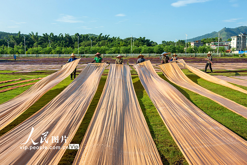 ?????? ????????? ???? ????? ?????? ???????? ???????? ?? ?????