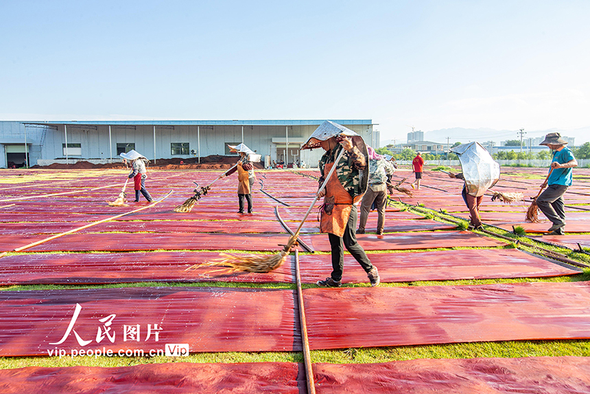 ?????? ????????? ???? ????? ?????? ???????? ???????? ?? ?????