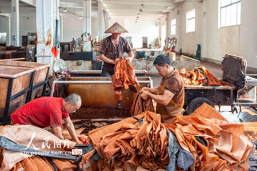 ?????? ????????? ???? ????? ?????? ???????? ???????? ?? ?????