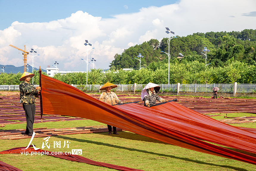 ?????? ????????? ???? ????? ?????? ???????? ???????? ?? ?????