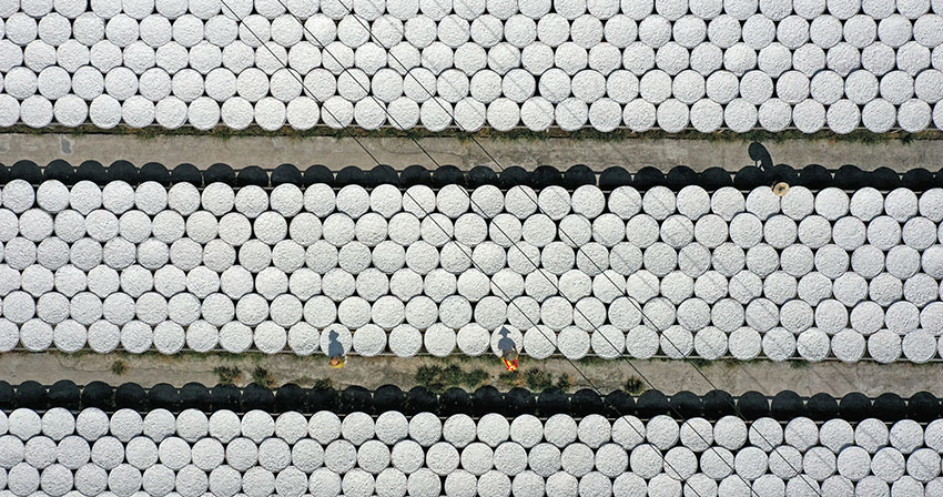 ????? ???? ??????? ?????? ?? ???? ??????? ???????