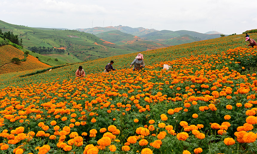 ????? ???? ?? ???? ??????? ?? ??? ?????? ???? ?? ???????